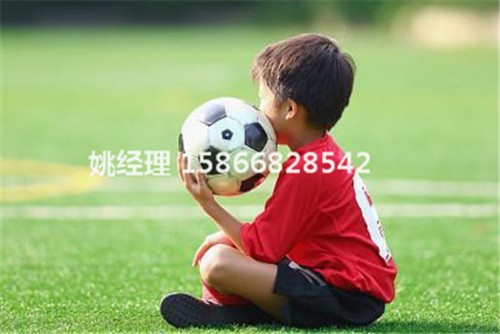 沧州正规比赛足球场人工草坪专业铺设相关新闻(山西忻州建设公司)