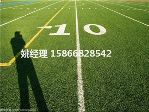 晋城学校足球场选用哪种人造草坪专业铺装(内锡林郭勒盟环保要求)