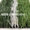 呼伦贝尔学校用人造草坪标准专业生产厂家(内蒙古赤峰验收标准)
