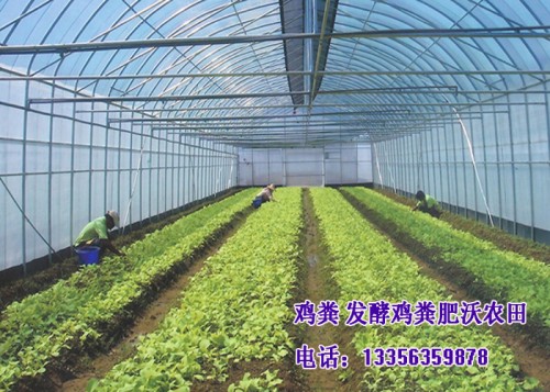 新闻:锡林郭勒盟纯干鸡粪肥沃土壤