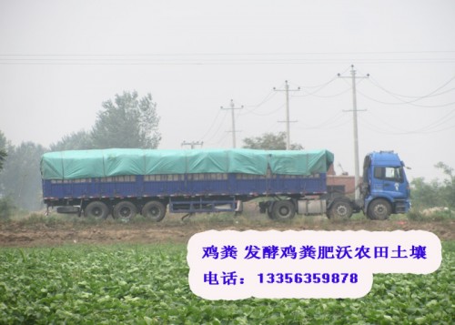 新闻:沧州晾晒鸡粪耕田绿色肥料