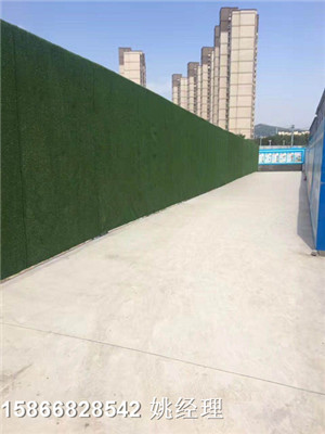 南京环保检查人造草坪布墙人造草坪场
