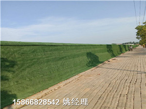 新闻:地铁围挡草皮植物墙@铺装步骤天津滨海新