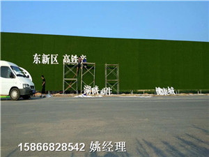 延边朝鲜族自治州立面围墙人造草皮人造草坪销售基地