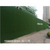 新闻:草坪造型墙@结果是多少天津和平