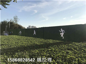 宁河矿区墙体环保草坪布价格行情