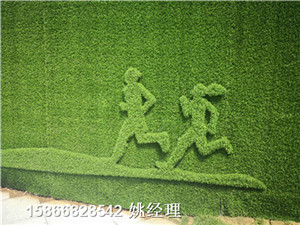 新闻:加密草皮装饰围墙@供应商临朐