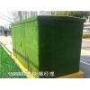 丹东围挡绿色塑料草坪人工草皮美化
