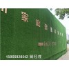 新闻:装饰墙围仿真草皮@生产厂家图文天津和平