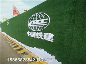 新闻:塑料草皮绿色围挡@当地有售天津红桥