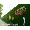 宁波假草坪草坪墙墙面广告销售公司