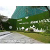 山东青岛市背景装饰墙-人造草坪月度评述
