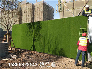 舟山围墙绿色挂皮价格人工草皮参数