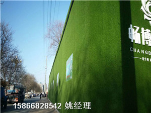 新闻：塑料草皮人造草坪品牌厂家-咸阳