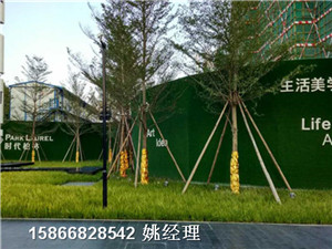 山东青岛市铺装塑料草皮墙-人造草坪价格查询