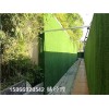 蚌埠人造草坪绿化挡墙塑料草皮尺寸图解