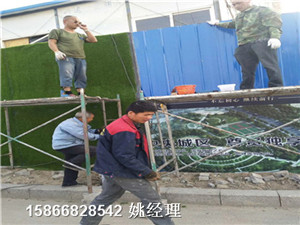 新闻:绿色装饰墙仿真植物@厂家合资天津和平