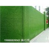 辽阳绿化环保草坪布墙围人工草皮用途