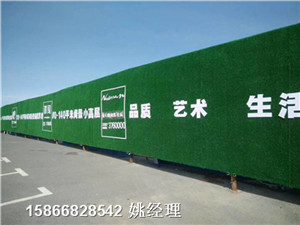 新闻:塑料草遮盖墙体@/放心的选择天津蓟县