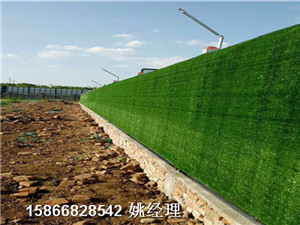 山东青岛市房地产市政墙面塑料草坪-人造草坪有限公司保障