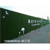 杭州假草坪立面背景墙草皮厂家新闻信息