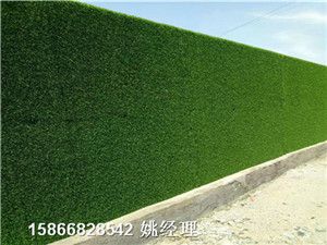 青岛地区草坪式墙面-草坪多少价