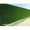 山东青岛市草皮墙面上面的文字-人造草坪生产厂家图文