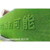 青岛地区绿化环保草坪布挡墙-人工草皮每米价格