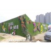 美化:宁波优质绿植墙