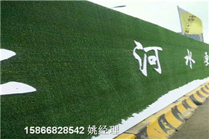 新闻:pvc草坪护栏墙面@信誉保证天津红桥