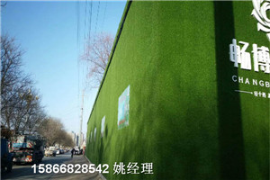 新闻:彩色草坪塑料@详图天津静海