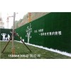 枣庄人工草皮绿篱塑料草挡墙铺设/施工