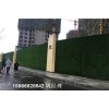 青岛地区背景墙仿真草坪-人工草皮设计博翔远人造草坪公司