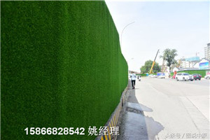 青岛地区仿草坪外墙屋面-草坪是多少每平米