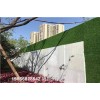 葫芦岛加密草皮装饰围墙假草坪造价预算
