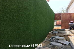 惠州建筑围墙仿草坪人造草坪供应1-3厘米