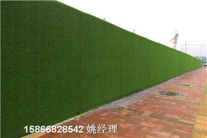 青岛地区环保草坪布环保墙体-人工草皮问价格