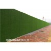 扬州市政加密草皮围墙人工草皮制造
