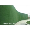 泰安人工草皮工地草坪布挡墙产品分类