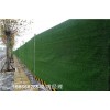 泰安假草坪草坪厂家工地墙面用常规规格