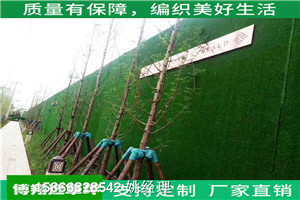 安庆草坪适合用绿植做围挡的品种维护