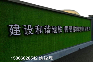 山东青岛市墙体草皮围挡-人造草坪标准专业生产厂家