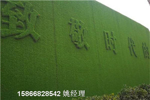 山东青岛市围墙草皮卷-人工草皮双色草供货