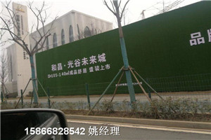 专业生产商:郴州绿色围墙草皮