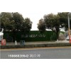 青岛地区市政背景墙假草-假草坪价格是多少