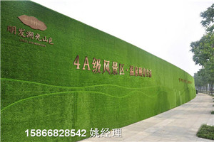 金东房地产市政墙面塑料草皮厂商出售