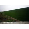 博尔塔拉蒙古自治州环保草坪布建筑墙人工草皮密度高