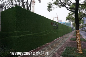 新闻:活动围墙绿植@搭配颜色边框天津滨海新