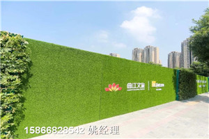 道路绿化提升绿草皮围墙草坪获嘉材料规格