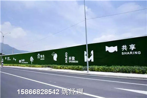 老年大学专业铺装:柳州草皮效果墙面